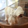 Luxury Dog Clothes Autumn Winter Dog Clothing Pet Small Dogs Stuff Costume Accessories Puppy Kitten Cats Pets Hoodie Supplies