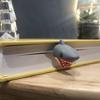Креативная 3D закладка в виде большой белой акулы - Прочный пластик, Черная с красными деталями зубов, Канцелярский подарок для ученика на начало учебного года