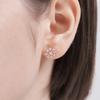 CRANNE Silver Snowflake Cubic Point Earrings C24EB329