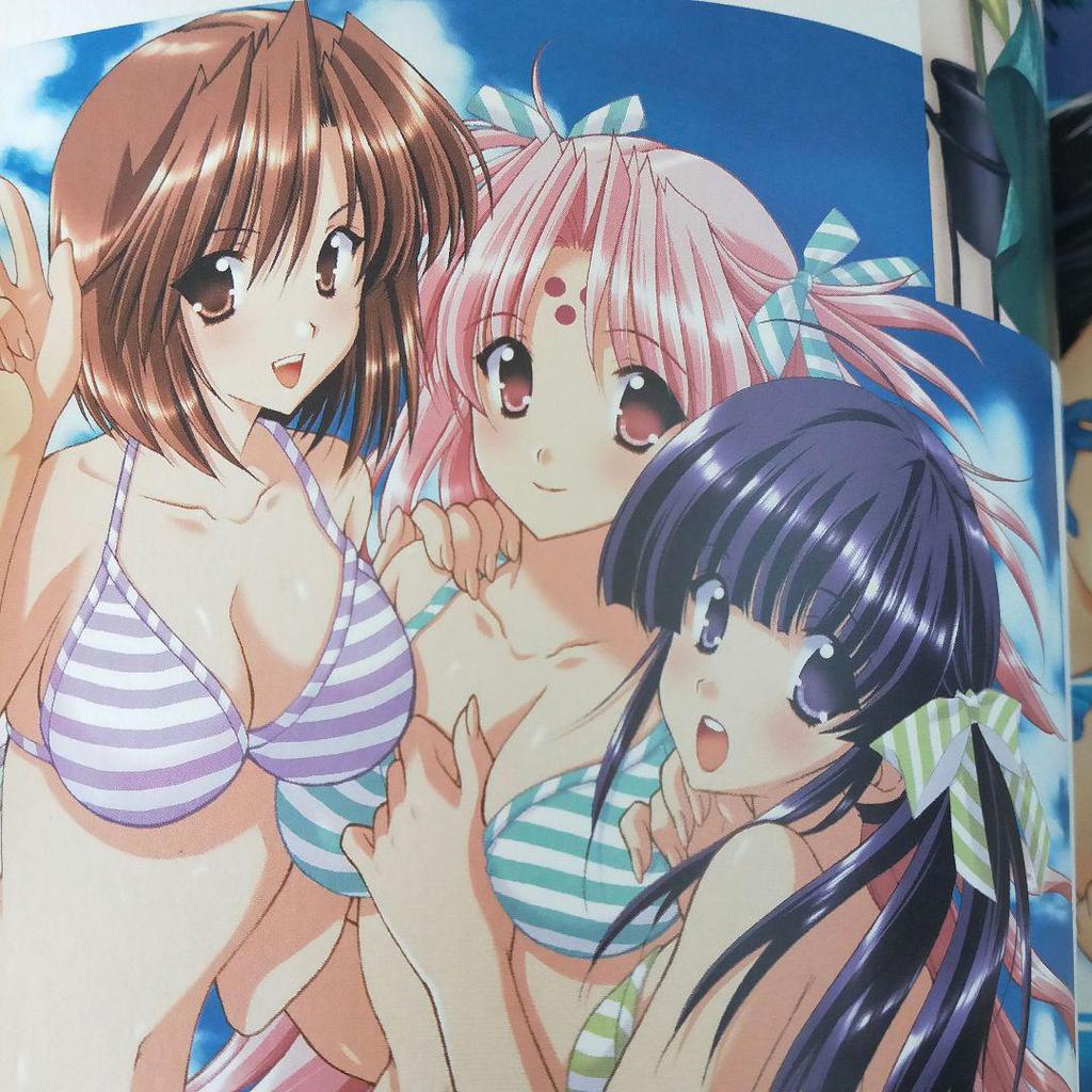 [USED] Super rare book, art book, strategy guide, visual fan book, Yunohana L's Season, 4 volumes
