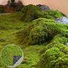 Artificial Moss Landscape Bionic Lawn False Moss Micro Landscape Layout Lawn Bonsai Pottery Paving Landscape Outdoor Indoor
