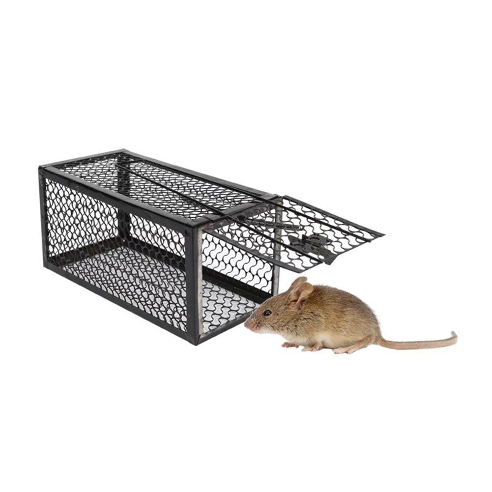 Hassle-free Iron Mouse Trap Control Catcher Easy To Set Up And Effective Pest Control