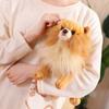 Real Life Pomeranian Plush Toy Stuffed Animals Stuffed Puppy Doll  Kids Girls