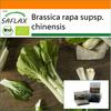 Garden In the Bag - Organic - Chinese Mustard Cabbage - Pak Choi - 300 Seeds - With Substrate In a Fitting Stand Up Bag - Brassica Rapa