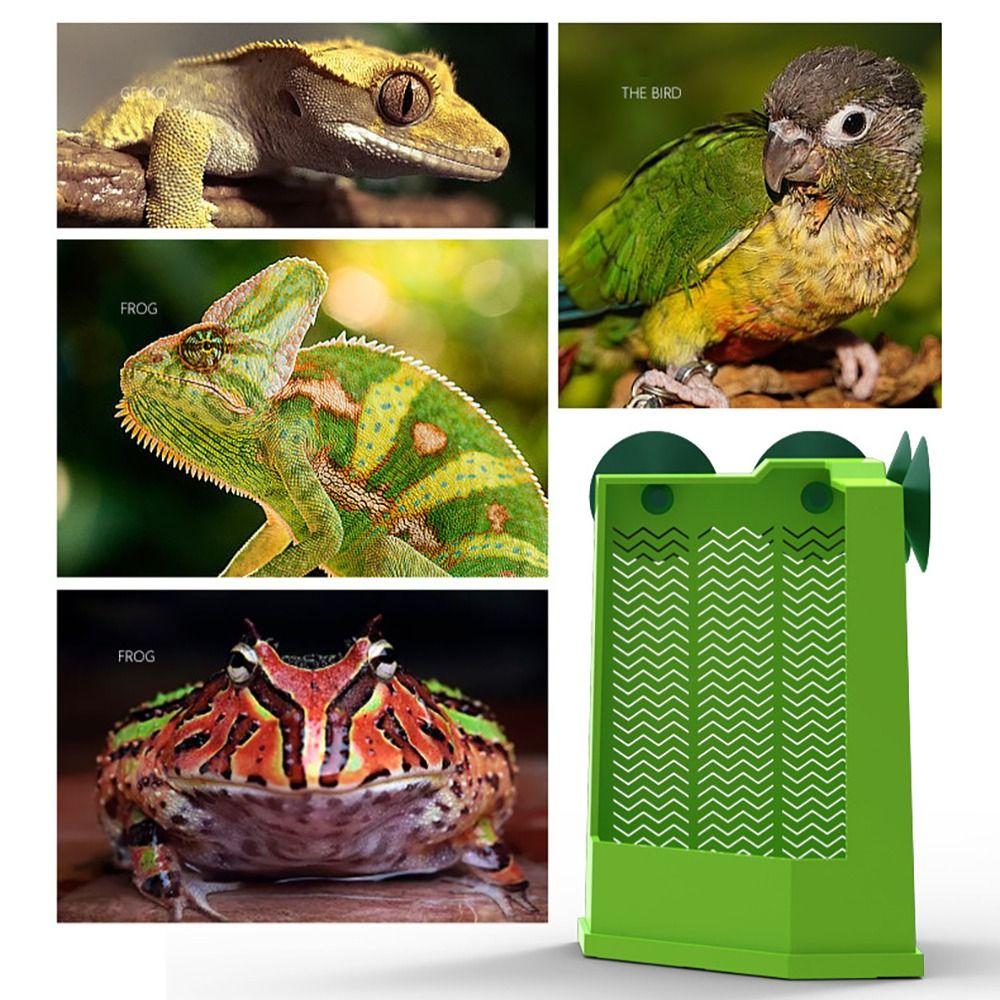Plastic Live Insect Dish Suspendable Design Lizard Food Tray Predator Feeder Bearded Dragon Feed