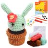 Beginners Crochet Kits DIY Crochet Starter Kits Including Crochet Hook, Yarn Balls, Needle, Instructions, Accessories