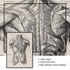 Анатомический скелет, патент, винтажный постер, настенный художественный принт, холст, живопись, постеры и принты, настенные панно для гостиной