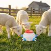13 Pcs Set 2.6 Quart Lamb Milk Bottle Thickened Piglet Feeder Bottle  Young Livestock