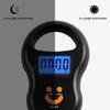 Портативные подвесные весы 50 кг 10 г, кухонные весы, ЖК-цифровые весы с подсветкой, электронные весы для рыбалки, карманные весы, весы для багажа, черные