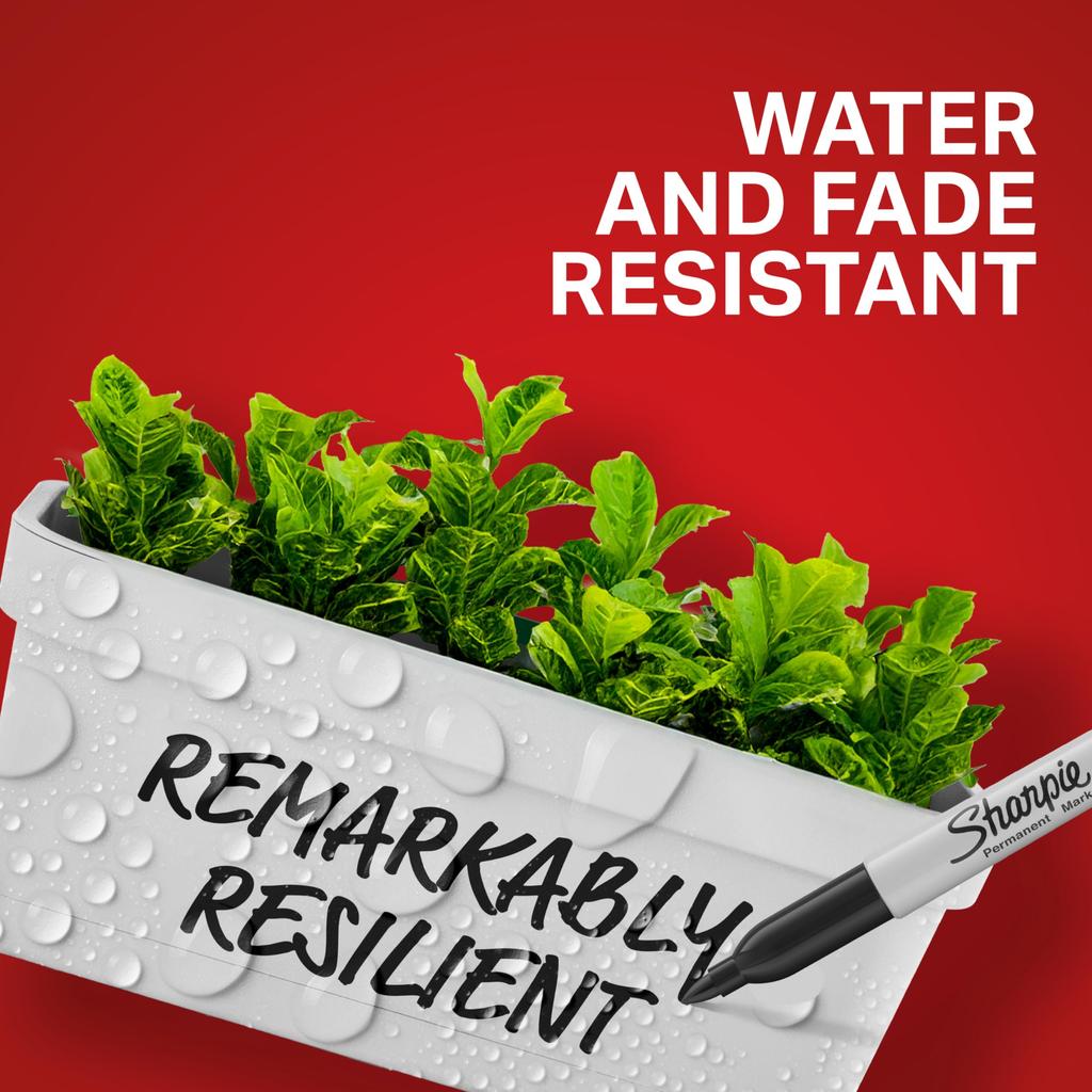 Sharpie Black Permanent Marker Set of 36 F Medium Point Permanent Pen 1884739