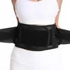 Back Brace Breathable Lumbar Support Belt Adjustable Straps Back Belt Lower Back Waist Brace For Lower Back Relief Sciatica