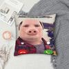Подушка с принтом смешного мема 'John Pork Is Calling' Наволочка Чехол для подушки Декоративная подушка Y2K Автомобильное украшение Квадратная Различные размеры