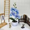 Artificial Plastic Phalaenopsis Flower Bonsai For Event Decoration Home Styling