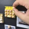 Reusable Egg Tray Fridge Magnet Egg Shape Fridge Magnet Cute Photo Holder Magnet  Office Board