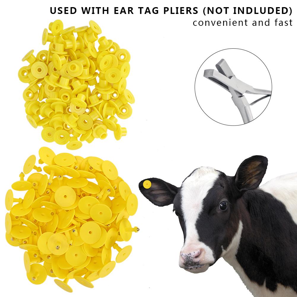 100pcs Animal Ear Plastic Identification Card Anti Lost Marker for Farm Cattle Sheep Pigs