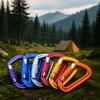 D-shaped Hammock Hook 12KN Professional Carabiner Snap Clip Safety Auto Lock Buckle  Fishing