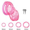 PET Honeycomb Lock Ring Chastity Cage for Male Pet Cock Cage Adult Toys Lockable Ring