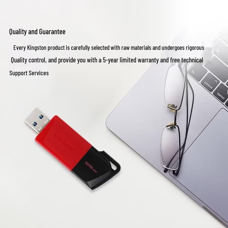 Kingston USB-флеш-накопитель DTXM 256 ГБ USB 3.2 Gen 1