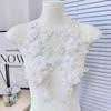 Light Luxury High-End Flower Sequins Embroidery Pair Of Flowers Wedding Dress Dress Clothing Diy Accessories