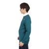 Le Coq Sportif Golf LG4FST01M Crew Neck Long Simple Hand Golf Green Men's Sweater, Sleeve, Design, Washable, Sporty, Sweater, (GR00)