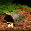 Simulation Tree Hole Shelter Escape Cave Lizard Hideaway Shelter Reptile Cave  Terrarium Decoration
