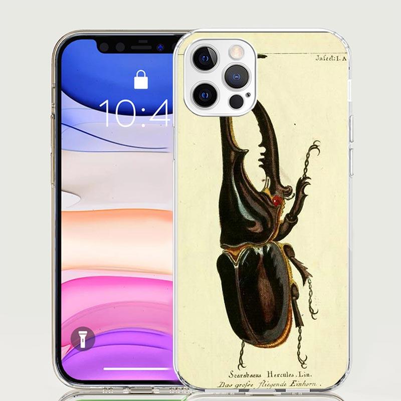 Bugs Bees Scientific Decomposition Phone Case for Apple iPhone 17 Air 16 15 Plus 14 + 13 Mini 12 11 Pro Max 7 8 SE 16Max Soft Sh