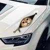 Waterproof Cat Car Sticker Zipper Design Car Window Glass Sticker  Pet Lover Decoration