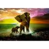 DIY Diamond Painting Round Two Showing Elephants Picture Cross Stitch Rhinestone Room Decoration