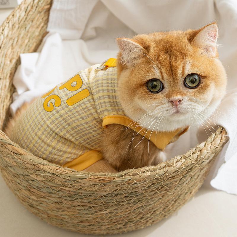 Весенне-летняя кошачья тонкая дышащая двуногая одежда для котенка, предотвращающая выпадение шерсти, тедди, чем медведь, собака, кошка, одежда для питомца