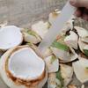 Coconut Meat Remover Soft Washable Professional Digging Plastic Coconut Meat Extractor Coconut Egg Scraper Kitchen Gadgets