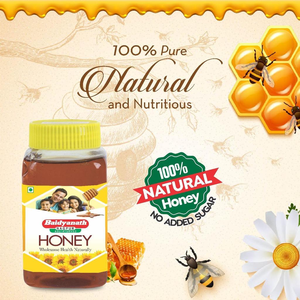 Baidyanath Asli Ayurved Honey Squeezy 400 Gm X 2 Pack Natural Immunity Boost No Sugar Added