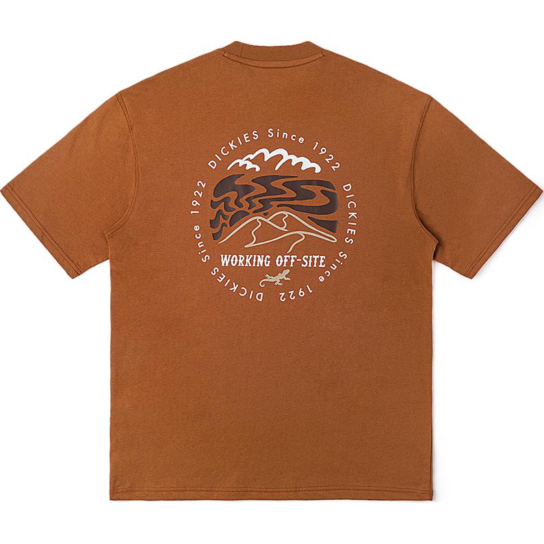 Dickies Футболки Унисекс С Круглым Вырезом Средней Плотности DK012908