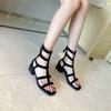 French Roman Sandals Fairy Style Fashion Thick Heel High Heel Summer With Skirt Zipper Cool Boots Tide
