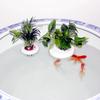 Floating Hydroponic Planting Basket Plastic Water Culture Planter  Hydroponic Plants