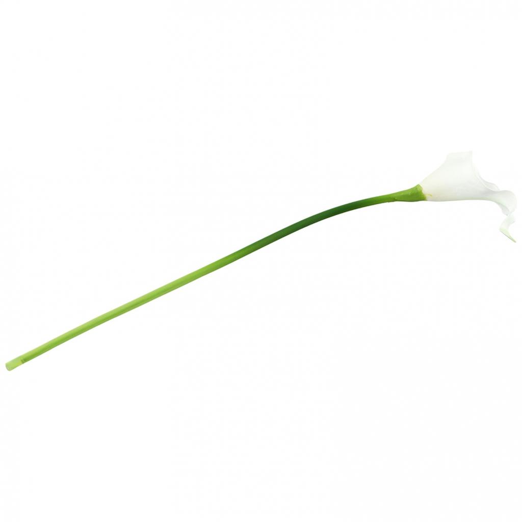 Фотография Искусственный цветок Рождественское Рождественское украшение 10 шт. Для дома и улицы