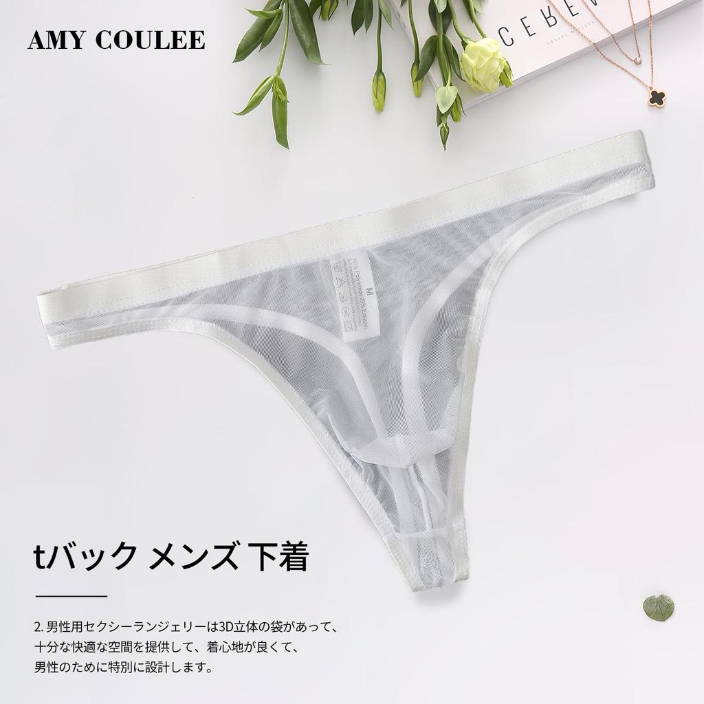 Amy Coulee Прозрачное Микро-сетчатое Сексуальное Белье Мужское Танга, Ультратонкое (Белый, Л)