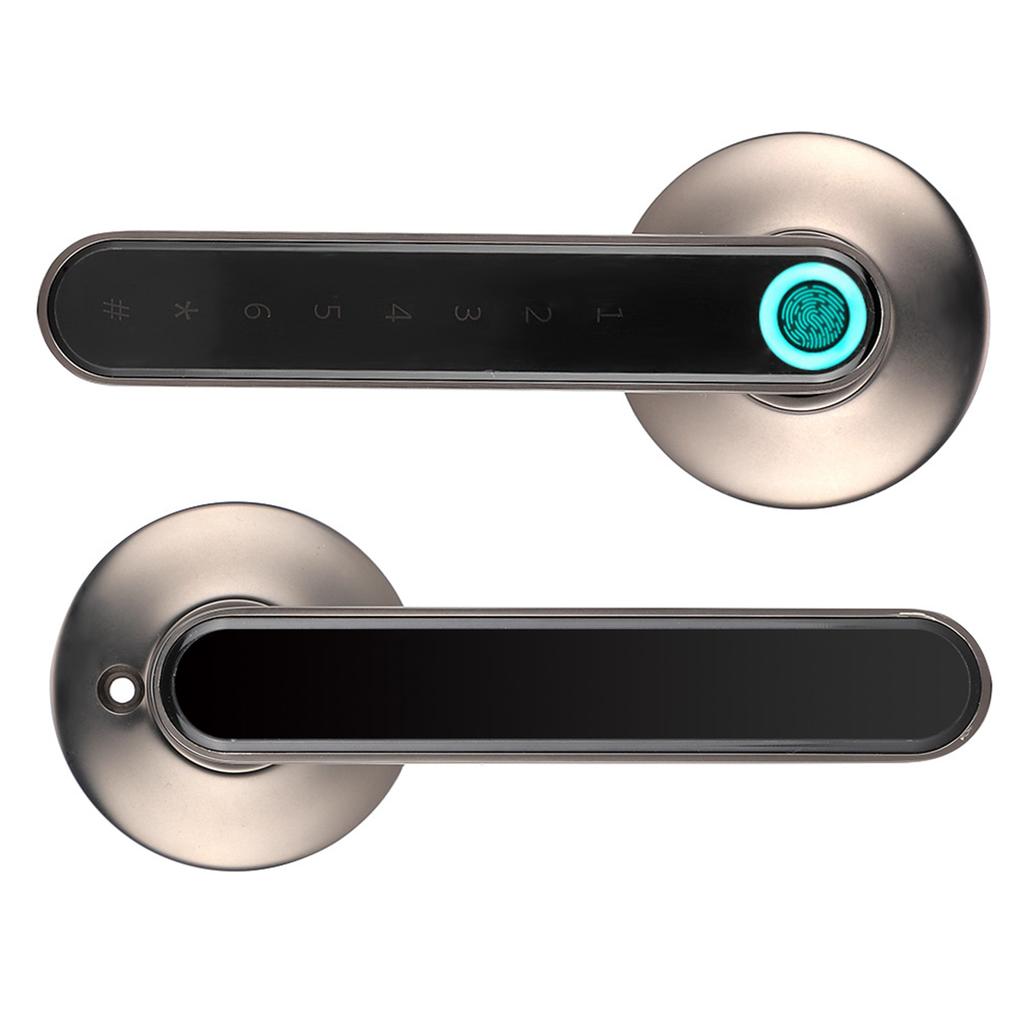 Дверной замок с отпечатком пальца, умный пароль, ручка, замок для TUYA Smart APP, домашний отель, офис, черный