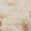 Bedding Set 2 pcs 200 x 200 cm All Seasons Beige
