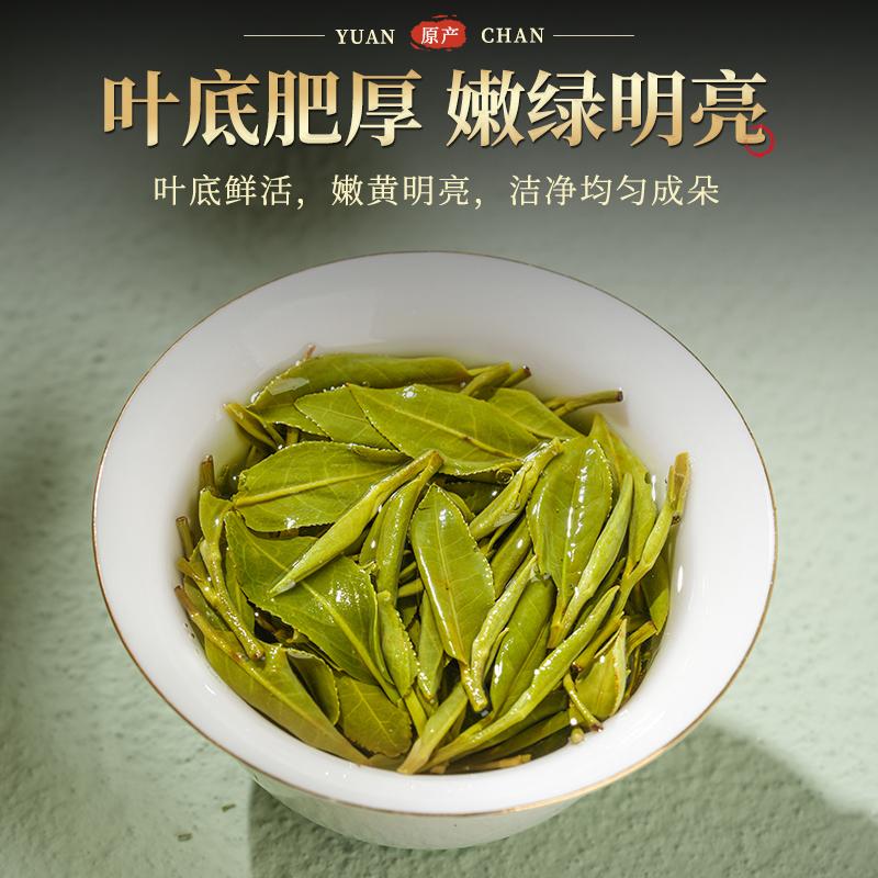 Mount Huangshan Maofeng Mengding Sweet Dew Orchid Tea Ming Foreman Picks Luzhou flavor Tea to Give Elders 250g for Their Own Drink
