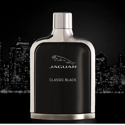 Туалетная вода Classic Black - 100 мл (Для мужчин