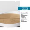 Stable Cat Scratching Bed Round Teasing Cat Stick Funny Cat Turntable Toy  Cat Nest Replacement