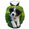 Толстовка с капюшоном Border Collie Graphics Animal Dog 3D Printed, горячая распродажа, толстовка-пуловер, весна-осень, толстовки с капюшоном, детская и мужская одежда