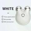 Portable Electric Face Lift Roller Massager EMS Microcurrent  Vibration Facial Lifting Skin Tighten Massage Beauty Devices