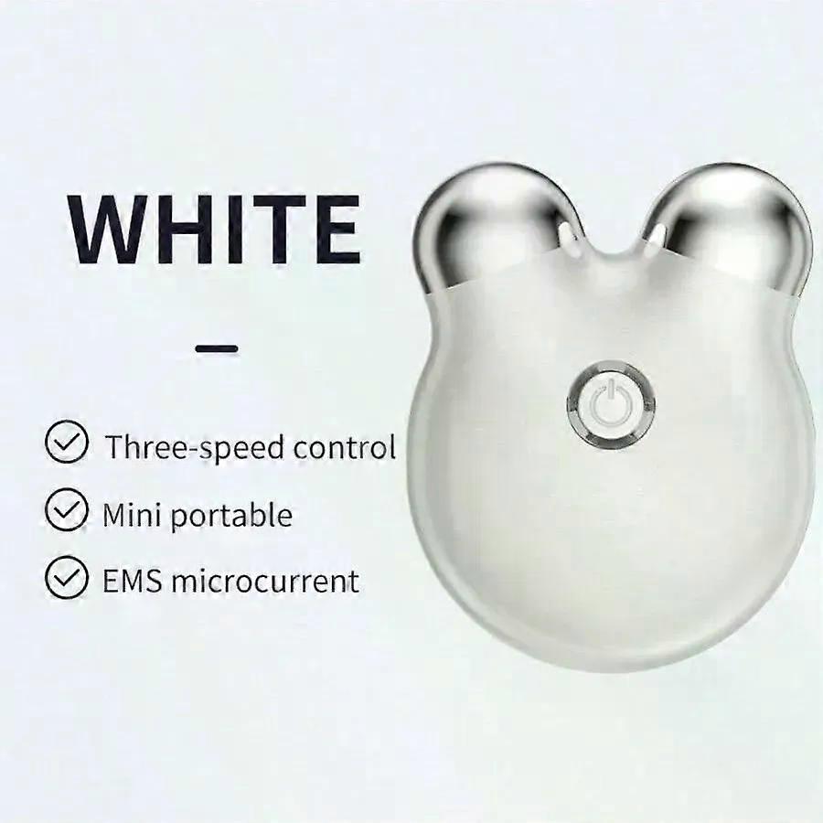Portable Electric Face Lift Roller Massager EMS Microcurrent Vibration Facial Lifting Skin Tighten Massage Beauty Devices