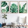 Nordic Monstera Deliciosa Green Plant Leaf Turtle Back Bamboo Canvas Painting Printing Frameless Wall Pictures for Living Room