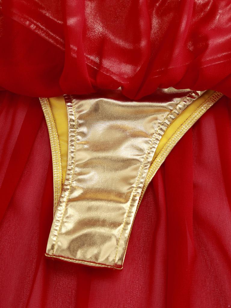 Womens Ancient Queen Costume Briefs Chiffon Skirt Metallic Shiny Side Slit Gold Trims Halloween Outfit