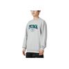 Puma Спортивный повседневный свитер с принтом букв, мужская толстовка, серый цвет 678422-04
