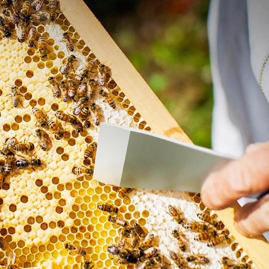 Чашка для кофе в виде гриба 200 мл Керамическая кружка в виде гриба Уникальная эстетика Послеобеденный чай