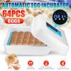 64 Eggs Egg Incubator Hatcher Brooder Bird Quail Incubator Chick Hatchery Incubator Poultry Hatcher Turner Automatic Farm Tools White AC 110-220V