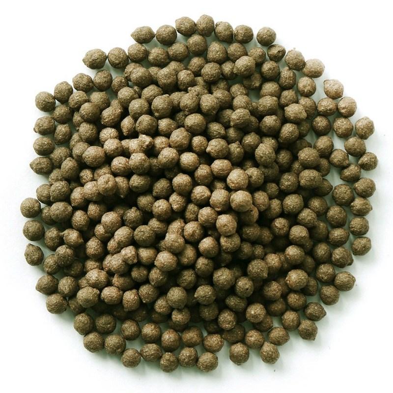 Donguihanjae Wando low-salt kelp pills, 200g, 2 pieces